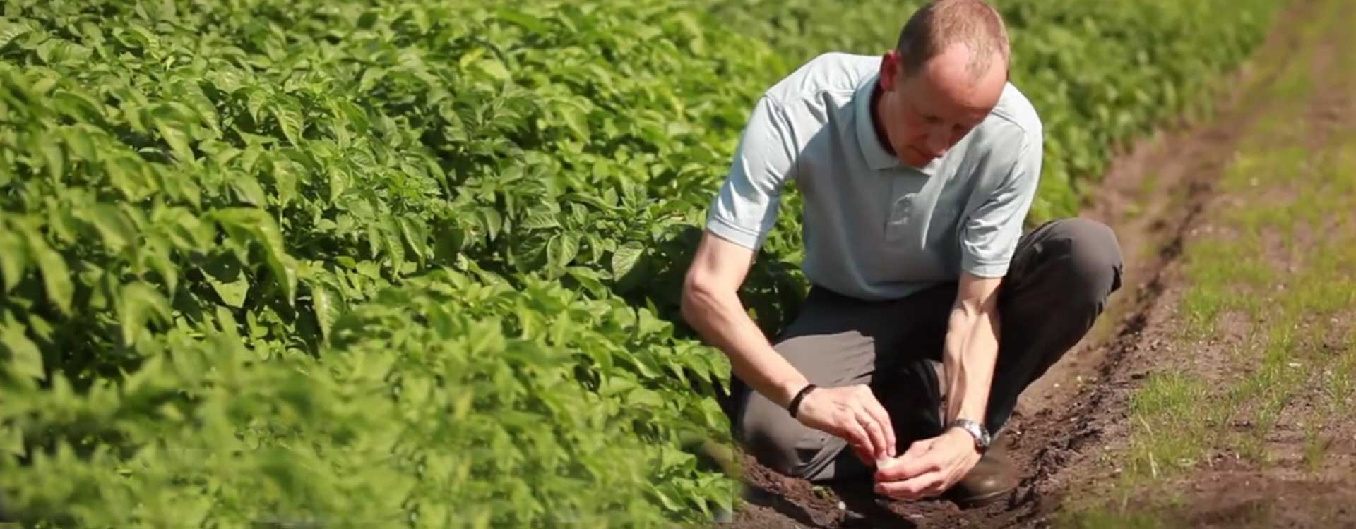 Leistungsfähige Lösungen