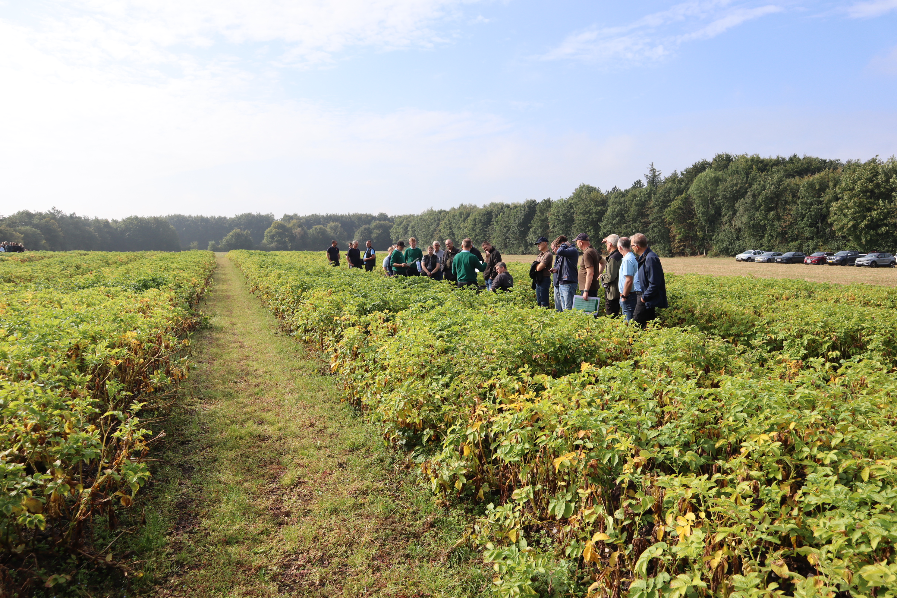 Stillingsopslag: Forsøgsleder hos BJ-Agro