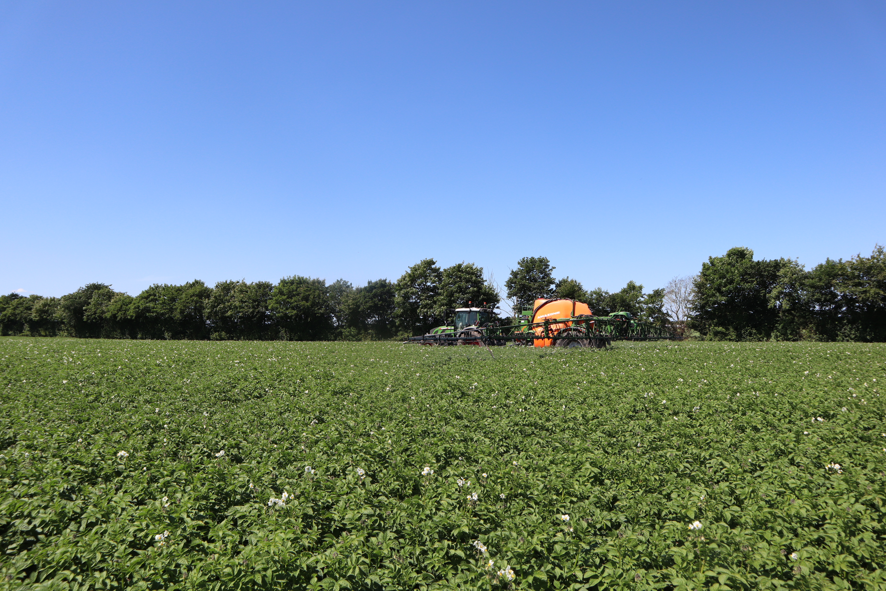 Treffen Sie BJ-Agro auf der Potato Europe 2026